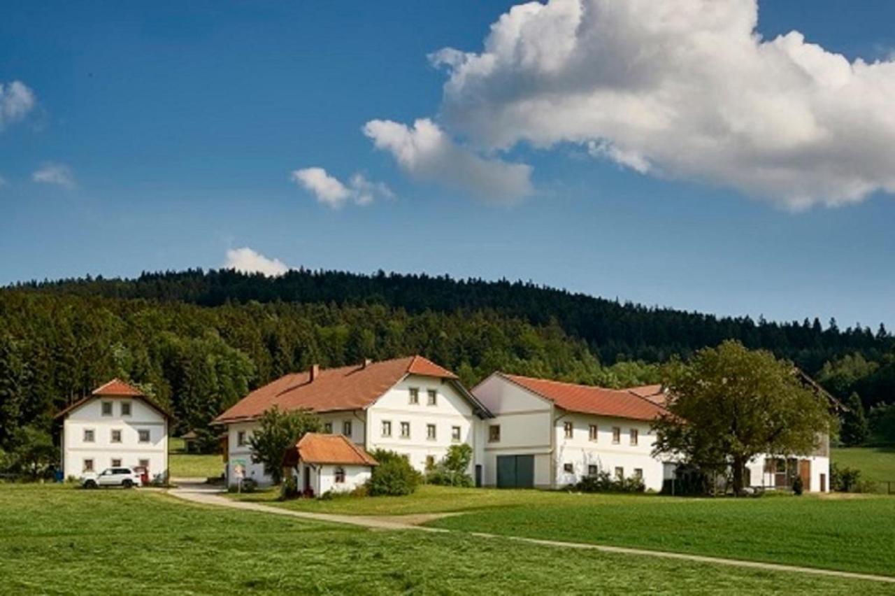 Der Breinhof - Euer Urlaubsbauernhof Apartman Waldkirchen Kültér fotó